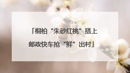 桐柏“朱砂红桃”搭上邮政快车抢“鲜”出村