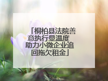 桐柏县法院善意执行显温度 助力小微企业追回拖欠租金