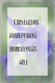 梁山县韩岗镇开展反邪教宣传活动