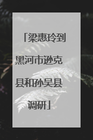 梁惠玲到黑河市逊克县和孙吴县调研