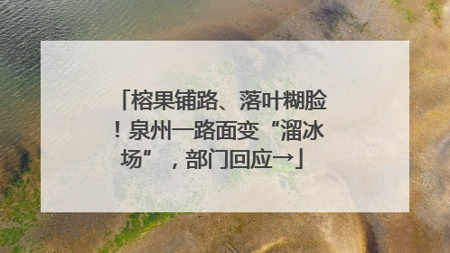 榕果铺路、落叶糊脸！泉州一路面变“溜冰场”，部门回应→