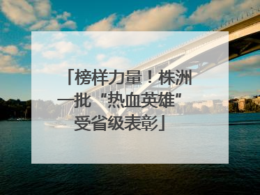 榜样力量！株洲一批“热血英雄”受省级表彰