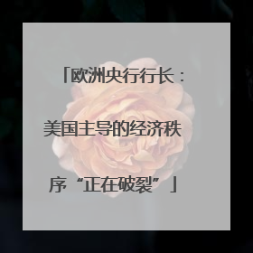 欧洲央行行长：美国主导的经济秩序“正在破裂”