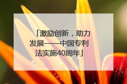 激励创新，助力发展——中国专利法实施40周年