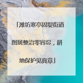 潍坊寒亭固堤街道图斑整治零容忍，耕地保护见真章