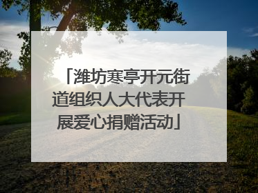 潍坊寒亭开元街道组织人大代表开展爱心捐赠活动