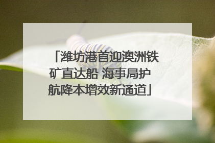 潍坊港首迎澳洲铁矿直达船 海事局护航降本增效新通道