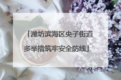 潍坊滨海区央子街道多举措筑牢安全防线