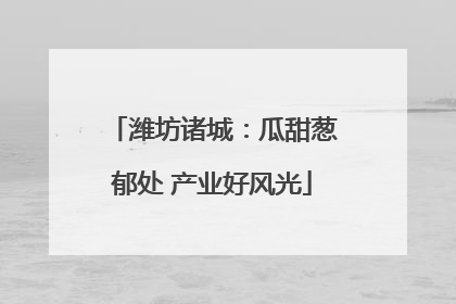 潍坊诸城：瓜甜葱郁处 产业好风光