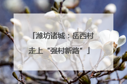潍坊诸城：岳西村走上“强村新路”