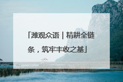潍观众语｜精耕全链条，筑牢丰收之基