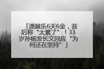 潘展乐6天6金，赛后称“太累了”！33岁孙杨发长文回应“为何还在坚持”