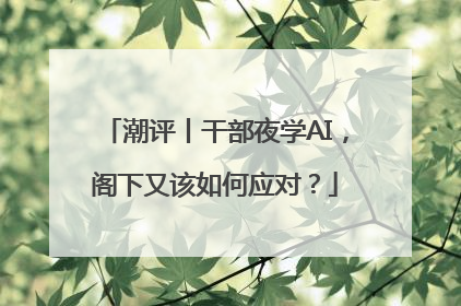 潮评丨干部夜学AI，阁下又该如何应对？
