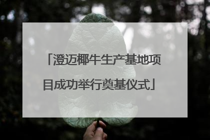 澄迈椰牛生产基地项目成功举行奠基仪式