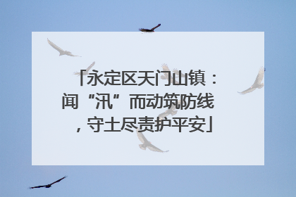 永定区天门山镇：闻“汛”而动筑防线，守土尽责护平安