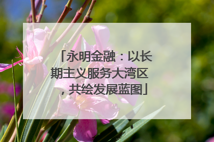 永明金融：以长期主义服务大湾区，共绘发展蓝图
