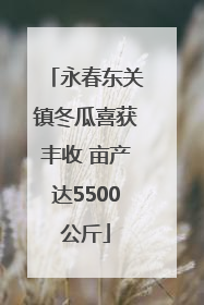 永春东关镇冬瓜喜获丰收 亩产达5500公斤