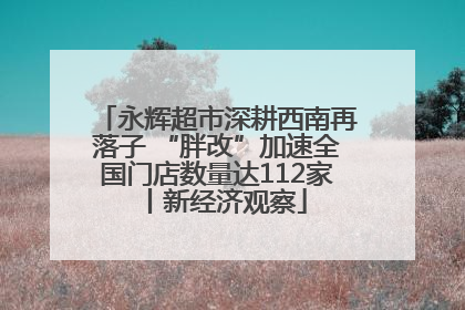 永辉超市深耕西南再落子 “胖改”加速全国门店数量达112家丨新经济观察