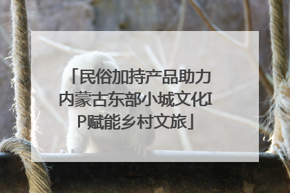 民俗加持产品助力 内蒙古东部小城文化IP赋能乡村文旅