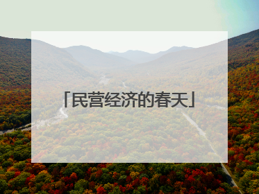 民营经济的春天