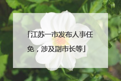 江苏一市发布人事任免，涉及副市长等