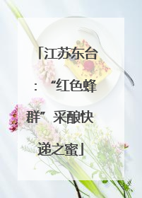江苏东台：“红色蜂群”采酿快递之蜜