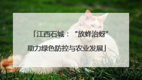 江西石城：“放蜂治蚜”助力绿色防控与农业发展