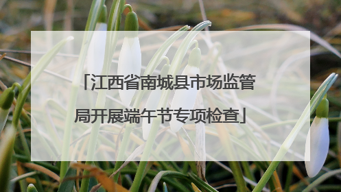 江西省南城县市场监管局开展端午节专项检查