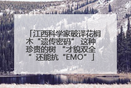 江西科学家破译花榈木“遗传密码” 这种珍贵的树 “才貌双全”还能抗“EMO”