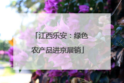 江西乐安：绿色农产品进京展销