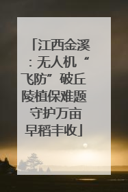 江西金溪：无人机“飞防”破丘陵植保难题 守护万亩早稻丰收