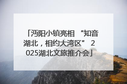 沔阳小镇亮相 “知音湖北，相约大湾区” 2025湖北文旅推介会