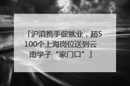 沪滇携手促就业，超5100个上海岗位送到云南学子“家门口”