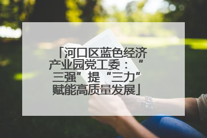 河口区蓝色经济产业园党工委：“三强”提“三力”赋能高质量发展