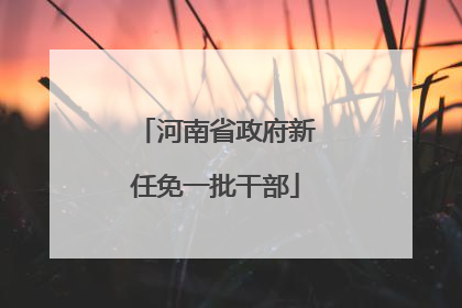 河南省政府新任免一批干部