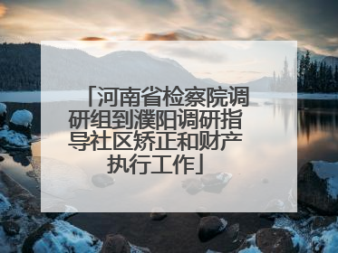 河南省检察院调研组到濮阳调研指导社区矫正和财产执行工作