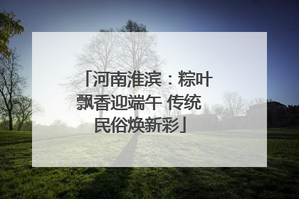 河南淮滨：粽叶飘香迎端午 传统民俗焕新彩
