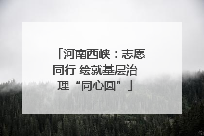 河南西峡：志愿同行 绘就基层治理“同心圆”