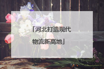 河北打造现代物流新高地
