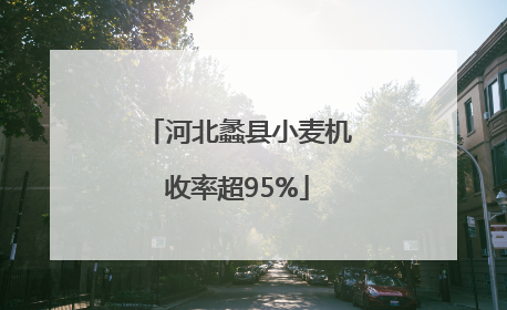 河北蠡县小麦机收率超95%