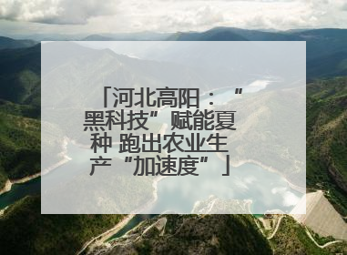 河北高阳：“黑科技”赋能夏种 跑出农业生产“加速度”