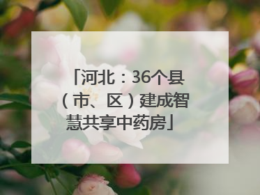 河北：36个县（市、区）建成智慧共享中药房
