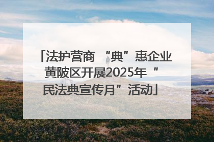 法护营商 “典”惠企业 黄陂区开展2025年“民法典宣传月”活动