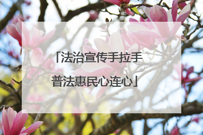 法治宣传手拉手 普法惠民心连心