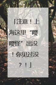注意！上海这里“嘤嘤怪”出没！你见过没？！