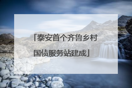 泰安首个齐鲁乡村国债服务站建成