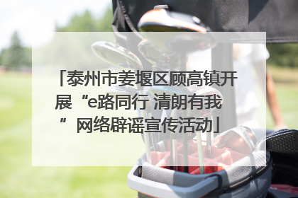 泰州市姜堰区顾高镇开展“e路同行 清朗有我”网络辟谣宣传活动
