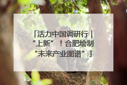 活力中国调研行｜“上新”！合肥绘制“未来产业图谱”