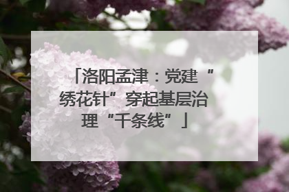 洛阳孟津：党建“绣花针”穿起基层治理“千条线”
