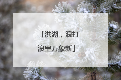 洪湖，浪打浪里万象新